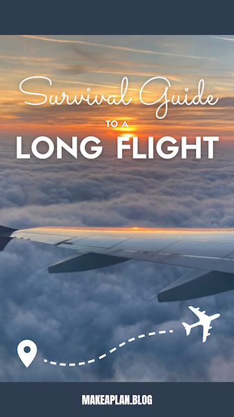 Survival guide to a long flight