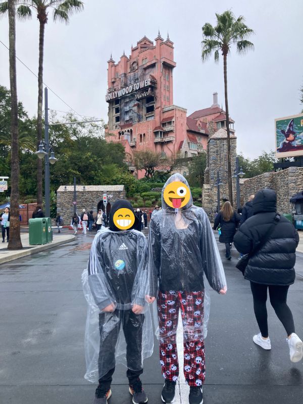 Disney with a newborn: kids in ponchos