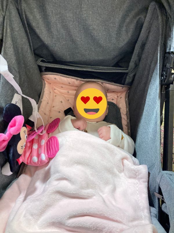 Disney with a newborn: baby in stroller